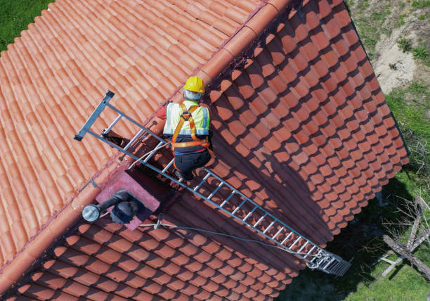 Best Roof Moss and Algae Removal  in Geva, NE